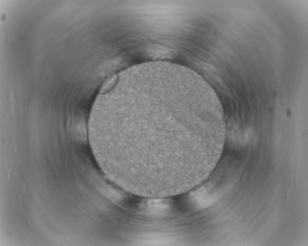 X0000089420622200707061320