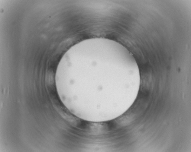 X0000089420623200707061320