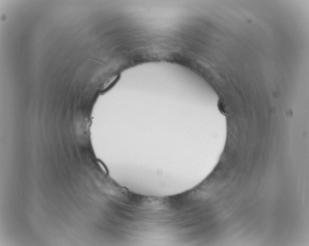 X0000089420624200707061320