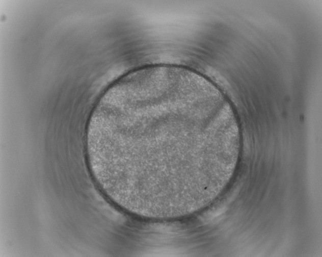 X0000089420625200707061319