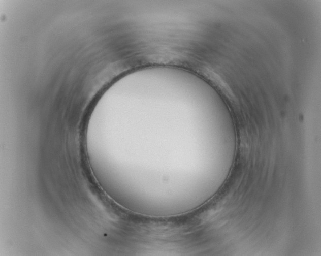 X0000089420626200707061319