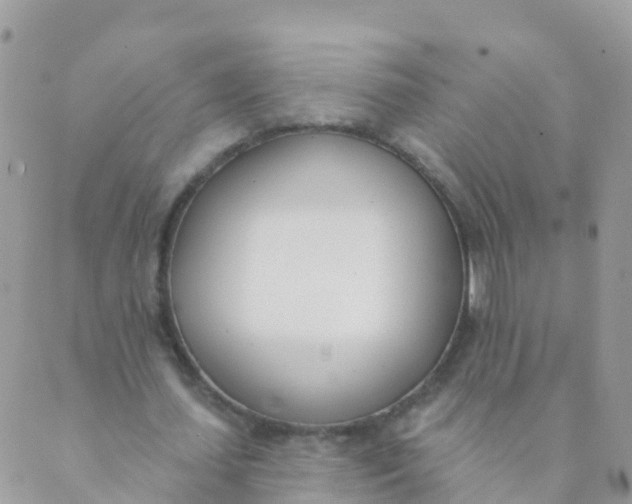 X0000089420627200707061319