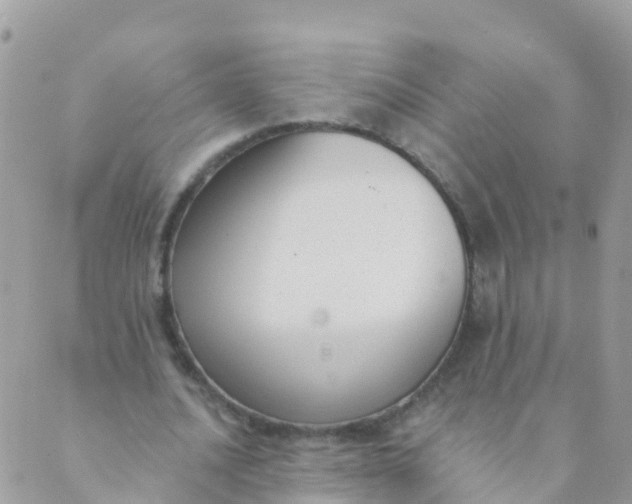 X0000089420628200707061319