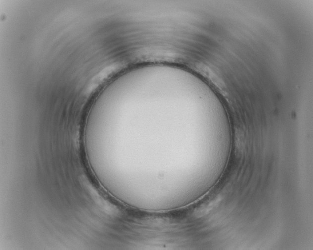 X0000089420629200707061319