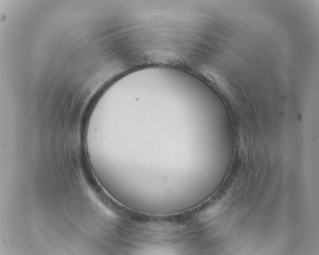 X0000089420630200707061319