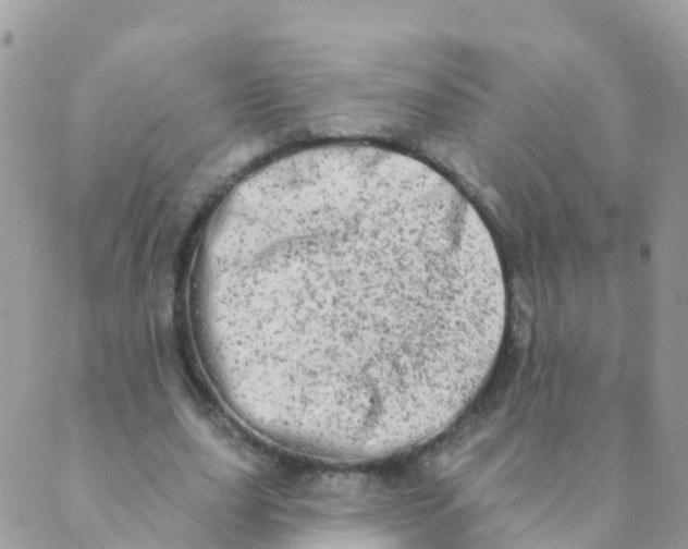 X0000089420631200707061319