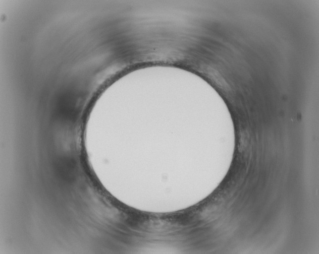 X0000089420632200707061319