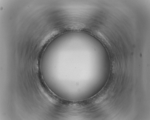 X0000089420634200707061319