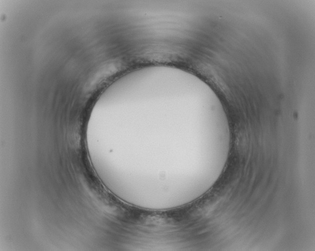 X0000089420635200707061320