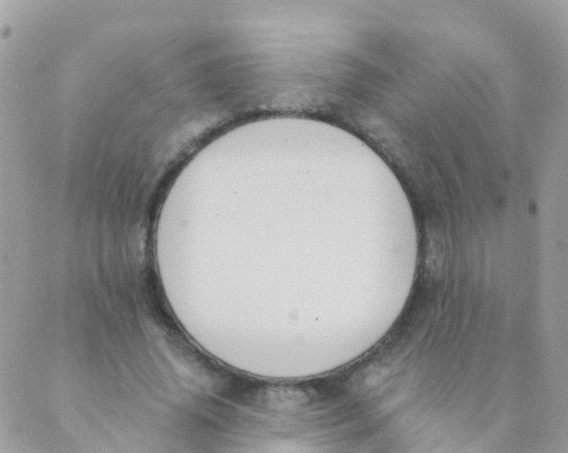 X0000089420636200707061320