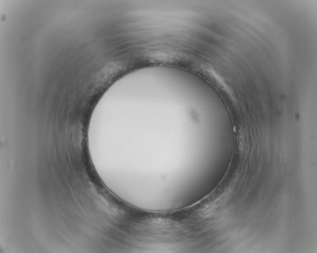 X0000089420637200707061320