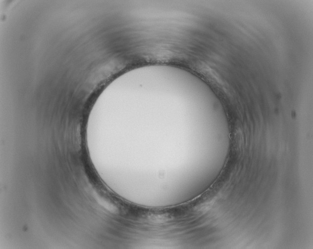 X0000089420638200707061320