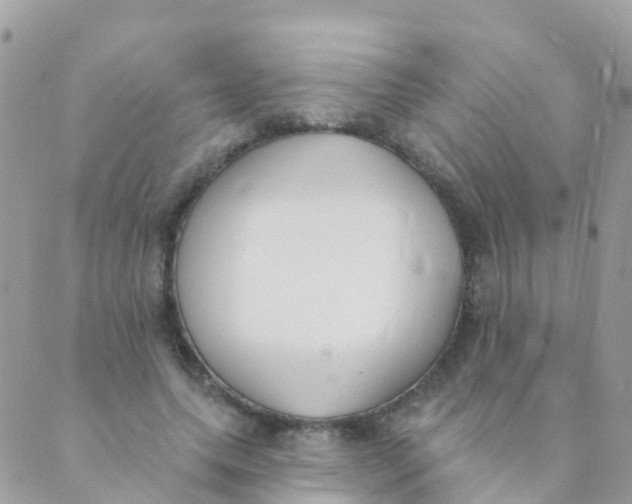 X0000089420639200707061320