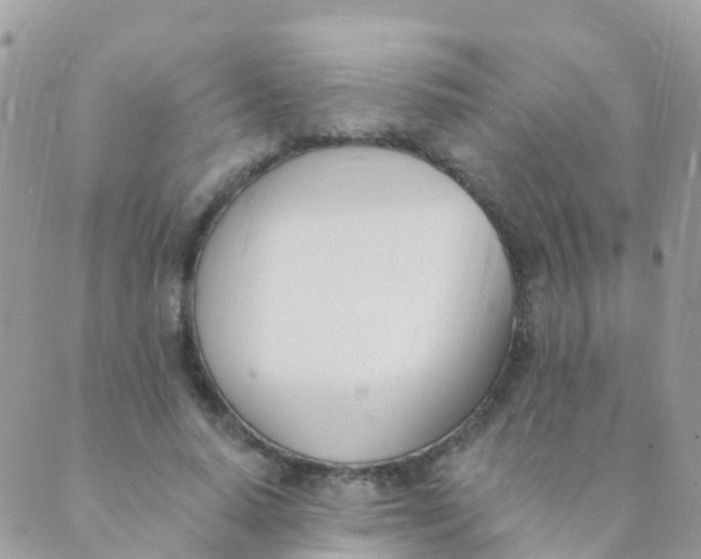 X0000089420640200707061320