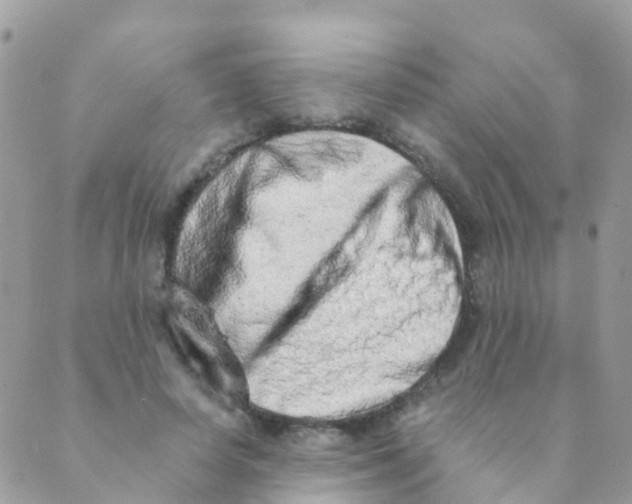 X0000089420642200707061320