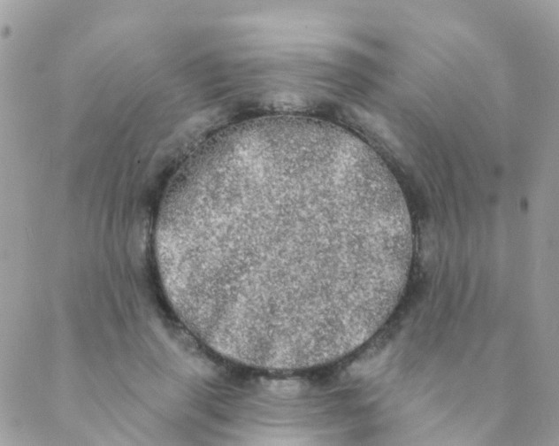 X0000089420645200707061320