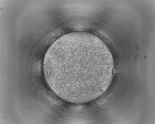 X0000089420646200707061320