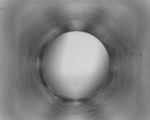 X0000089420647200707061320