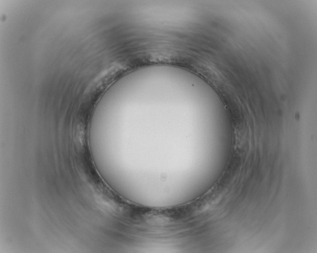 X0000089420648200707061320