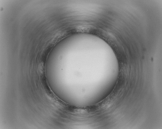 X0000089420649200707061320