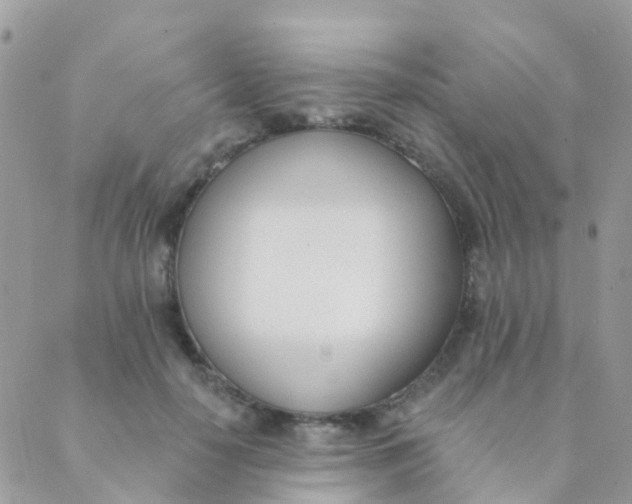 X0000089420650200707061320