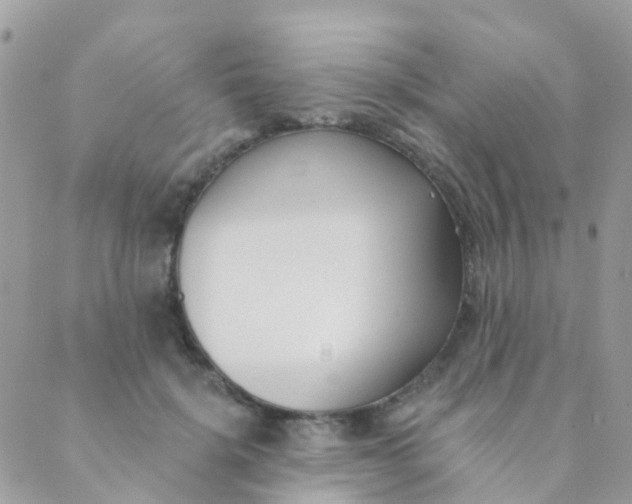 X0000089420652200707061320