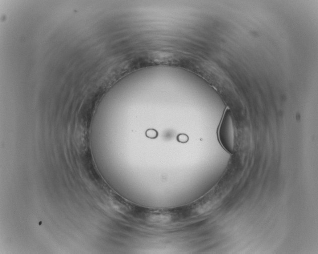 X0000089420653200707061320