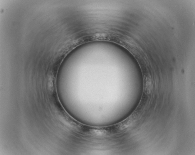 X0000089420654200707061320