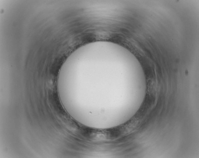 X0000089420655200707061320