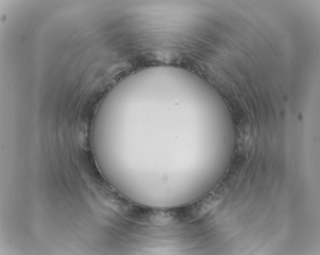 X0000089420656200707061320