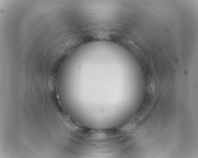 X0000089420658200707061320