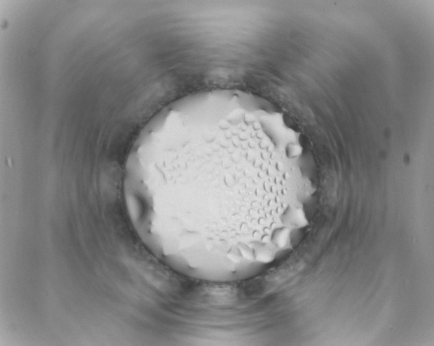 X0000089420659200707061320