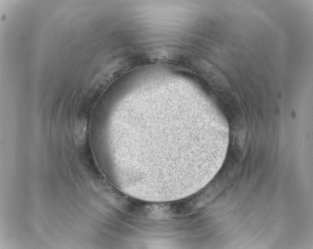 X0000089420660200707061320