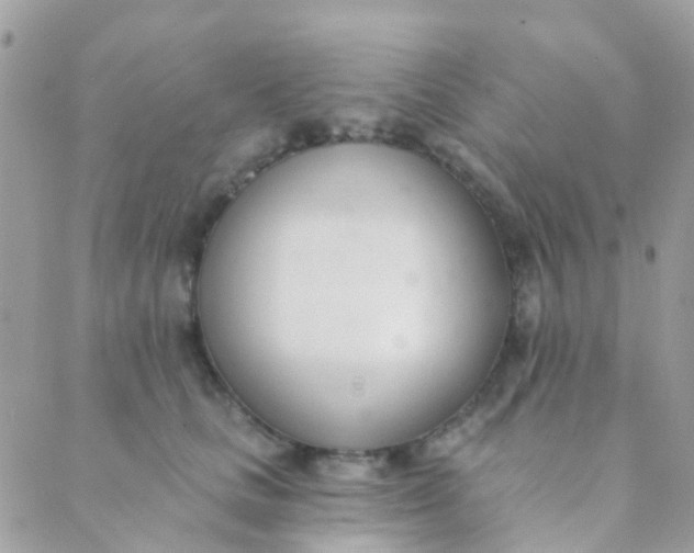 X0000089420661200707061320