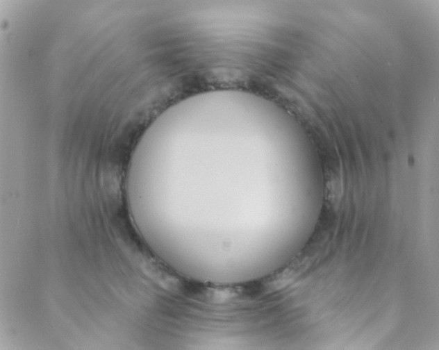 X0000089420662200707061320