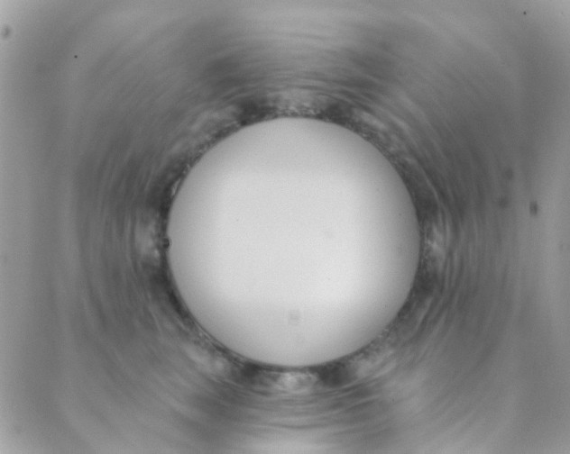 X0000089420663200707061320