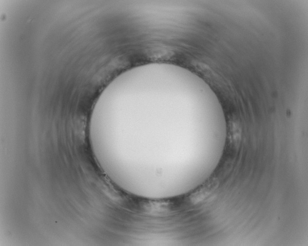 X0000089420664200707061320