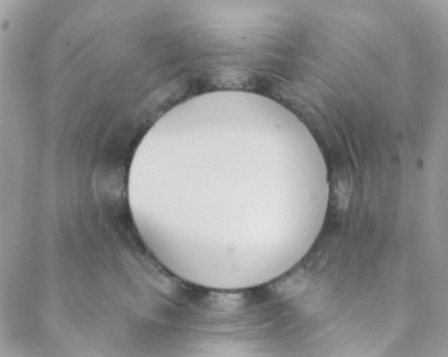 X0000089420665200707061320