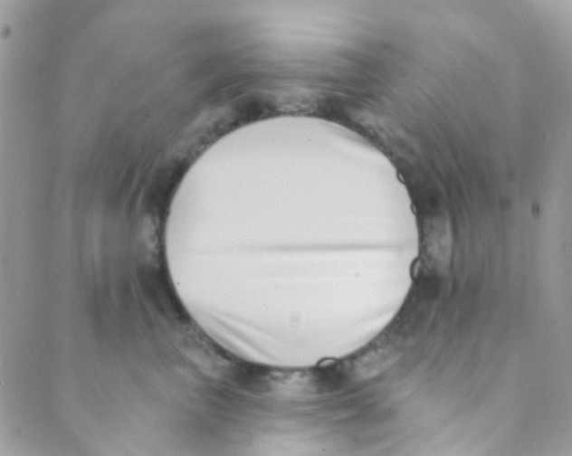 X0000089420667200707061320