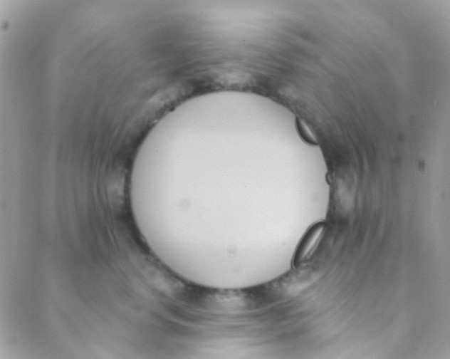 X0000089420668200707061320