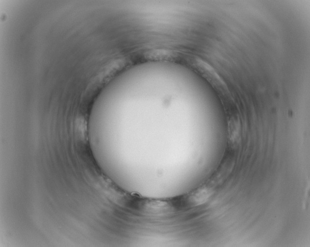 X0000089420669200707061320