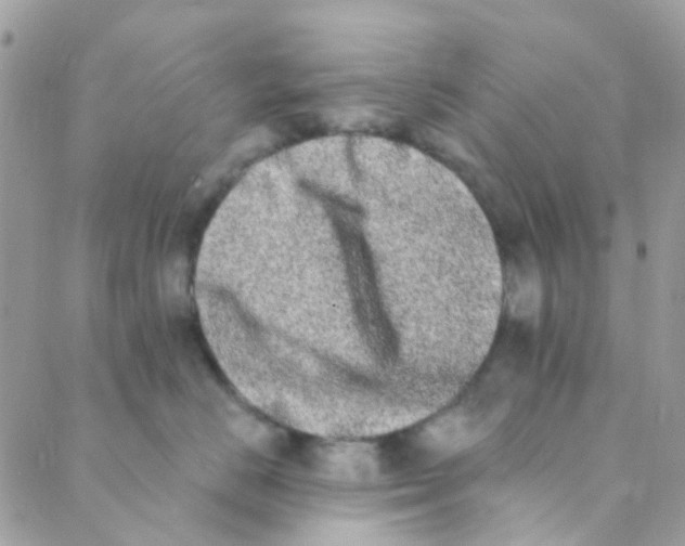 X0000089420670200707061320