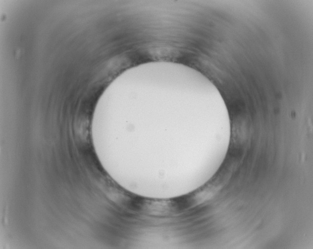 X0000089420671200707061320