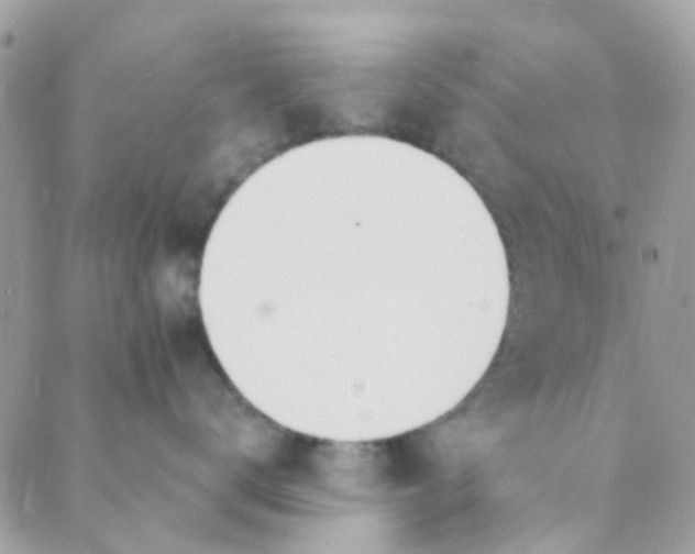 X0000089420672200707061320