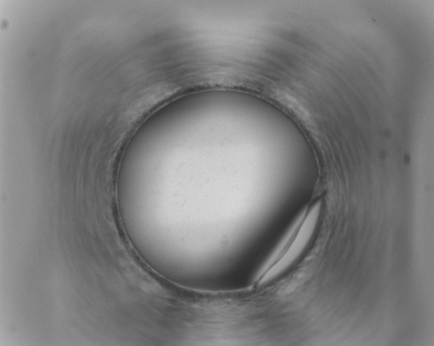 X0000089420673200707061319