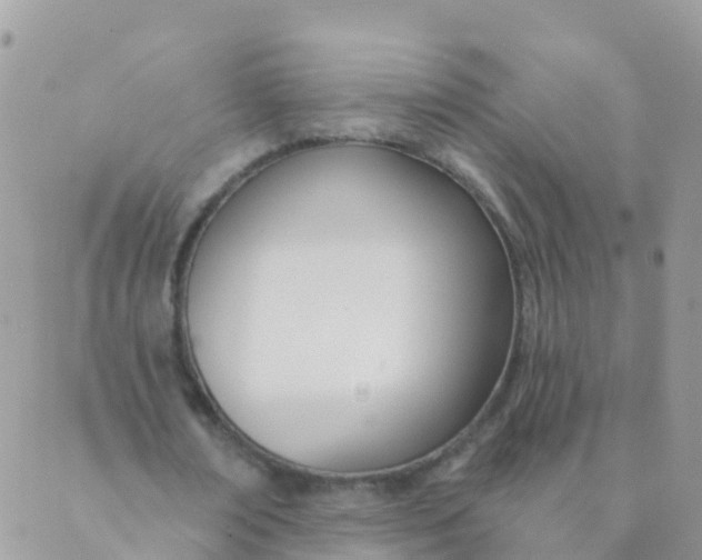 X0000089420674200707061319