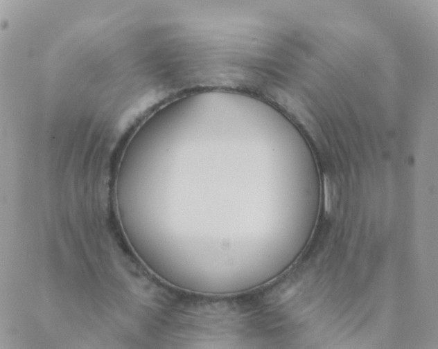 X0000089420675200707061319