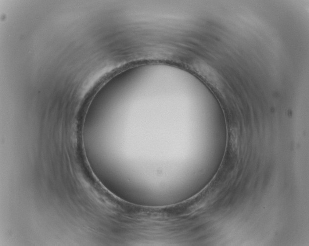 X0000089420676200707061319