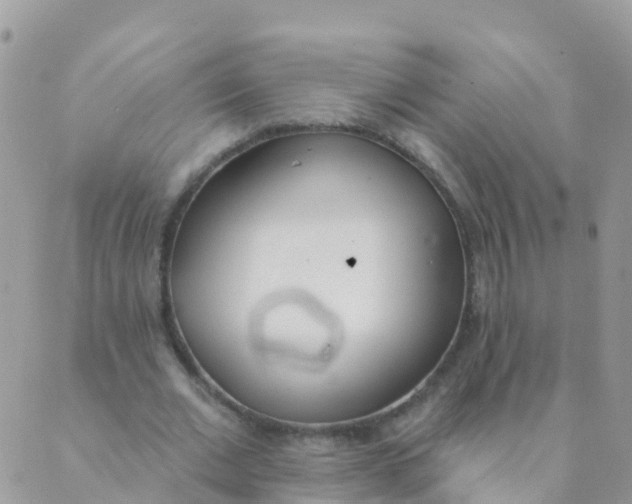 X0000089420677200707061319