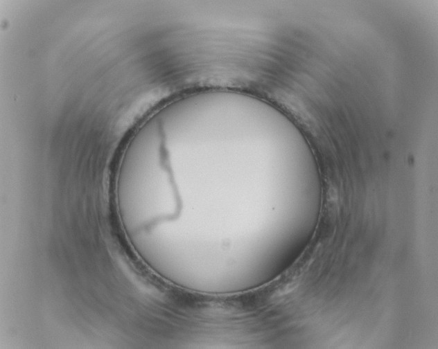 X0000089420678200707061319